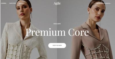 I will do Shopify fashion store, clothing website, fashion website, boutique website