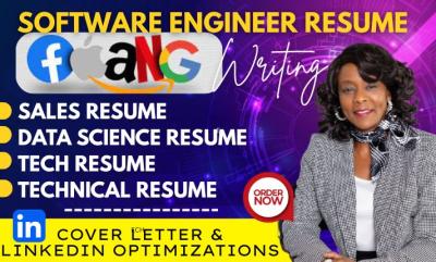 I Will Job Search and Apply for Jobs on Your Behalf, Job Search and Application