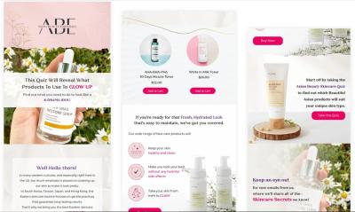 Setup Shopify, Klaviyo Email Marketing, Klaviyo Flows, and Shopify Marketing