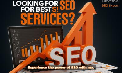 I will fix Google Search Console errors, WordPress and Shopify SEO indexing issues