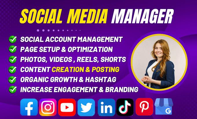 I will design beehiiv newsletter, beehive landing page, and setup AI email automation