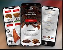 Redesign Shopify Website Design | Shopify Store Redesign | Shopify Website Redesign