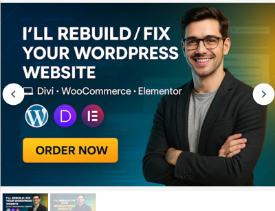 I will rebuild WordPress, recreate website, fix WooCommerce checkout, and work with Divi