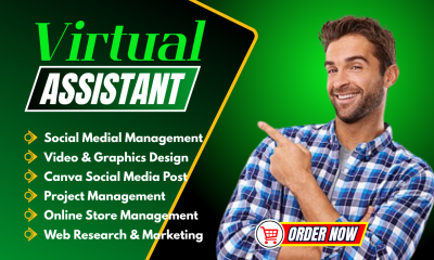 I will be your long term personal executive virtual assistant for daily and admin task