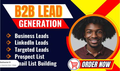 I will find email address, B2B lead generation and contact list building