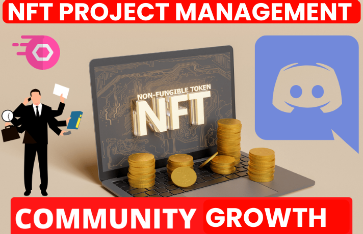 I will be your NFT Web3 Project Manager, Community Growth, Discord Setup, NFT Roadmap