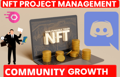 I will be your NFT Web3 Project Manager, Community Growth, Discord Setup, NFT Roadmap