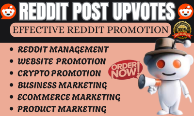 I Will Do Reddit Post Upvote for SaaS Token Crypto E-commerce Business Website Promotion