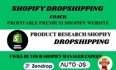 I Will Your Dropshipping Coach Shopify Expert Ecommerce Coach Consults