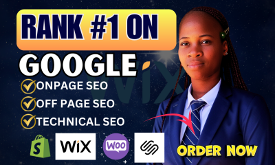 I Will Do On Page and Technical SEO, Website Audit, Google Search Console Indexing