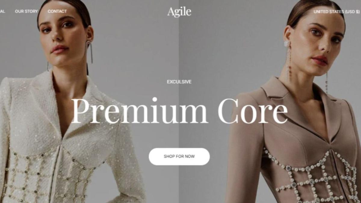 I will do Shopify Fashion Store, Clothing Website, Fashion Website, Boutique Website