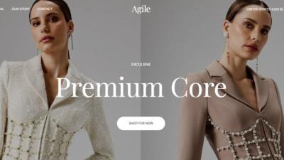 I will do Shopify Fashion Store, Clothing Website, Fashion Website, Boutique Website