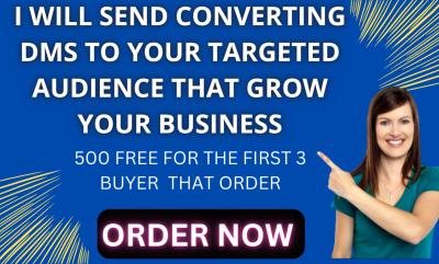 I will be executive virtual assistant IG FB Telegram LinkedIn Discord mass DM promotion