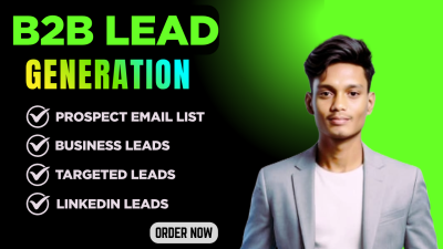 I will do B2B Lead Generation and LinkedIn Lead, Phone Number, and Verified Email Tasks