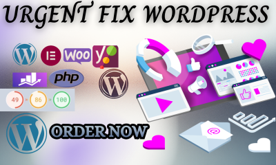 I will fix your WordPress issue professional and fast, revamp, fix redesign, urgent fix