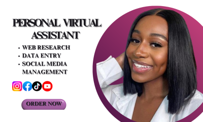 I will your creative virtual assistant personal assistant web research and help do task