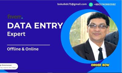 I will be your reliable and fast data entry expert