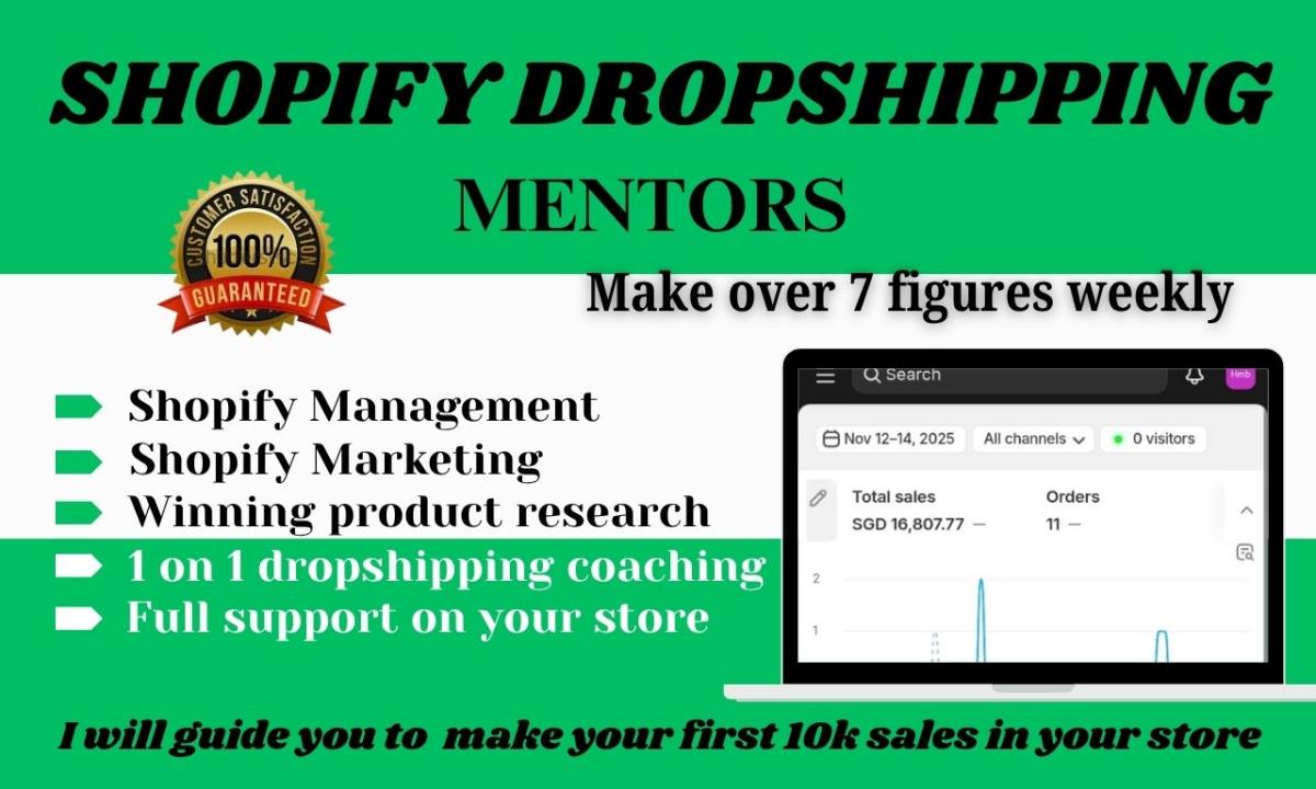 I will be your Shopify mentor, Shopify coach, dropshipping coach & eCommerce consultant