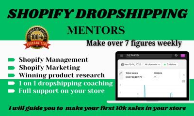 I will be your Shopify mentor, Shopify coach, dropshipping coach & eCommerce consultant