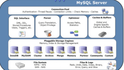 I will be your Oracle Database Management Expert