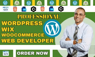 I will design a custom WordPress website or business site with full redesign service