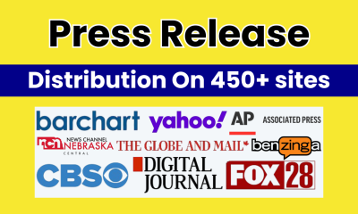 I Will Write, Publish, and Distribute Professional Press Release