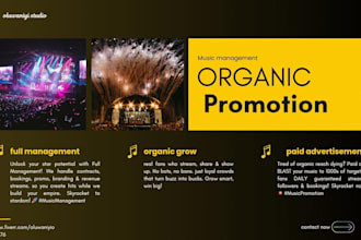 I Will Get You 1 Million Streams in 3 to 6 Months