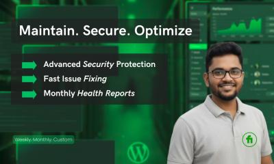 I will provide expert WordPress website maintenance and security