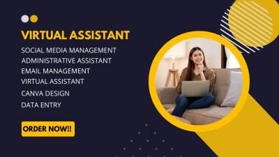 I will be your Canva Virtual Assistant and Social Media Manager