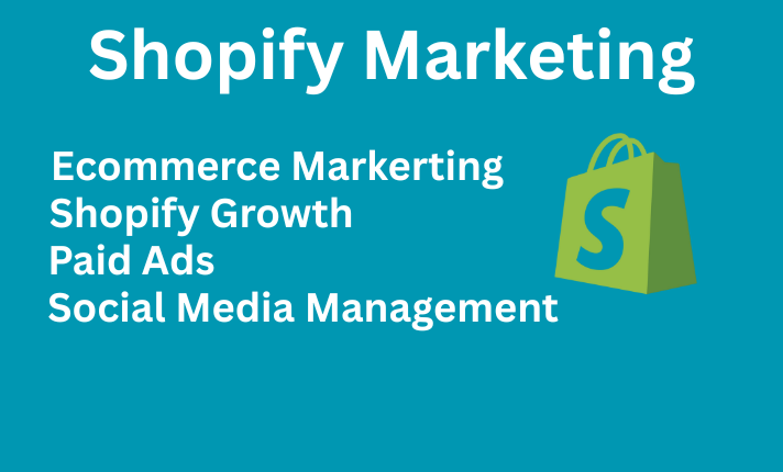 I will do Shopify store promotion and marketing for leads
