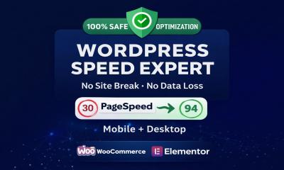 I will speed up wordpress website and fix core web vitals