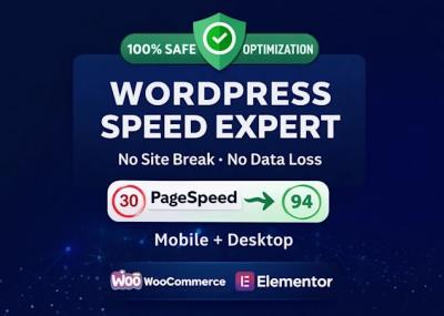 I will speed up wordpress website and fix core web vitals