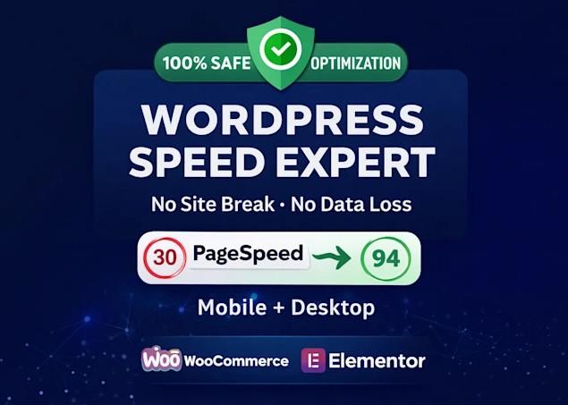 I will speed up wordpress website and fix core web vitals
