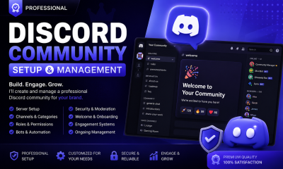 setup a professional custom discord server for your community