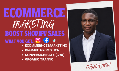 boost shopify sales through ecommerce marketing and effective shopify marketing