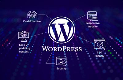 I will build or rebuild a wordpress website, business website