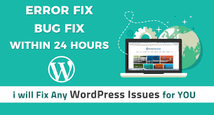 I will fix wordpress website any issues bugs, theme customization