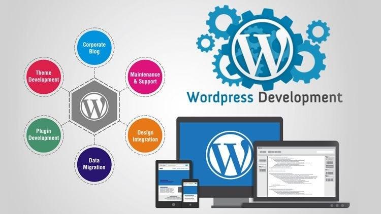 I will build or redesign a wordpress website, business website