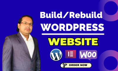 I will build or rebuild a wordpress website, business website