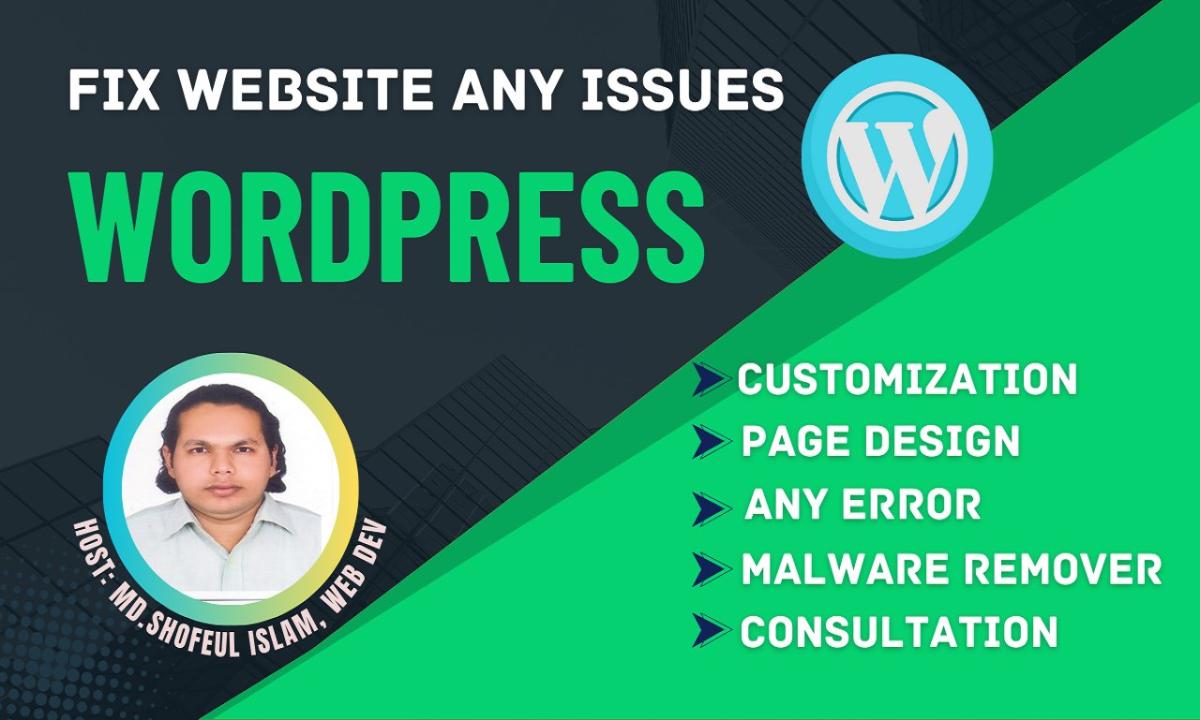 I will fix wordpress website bugs and theme customization issues