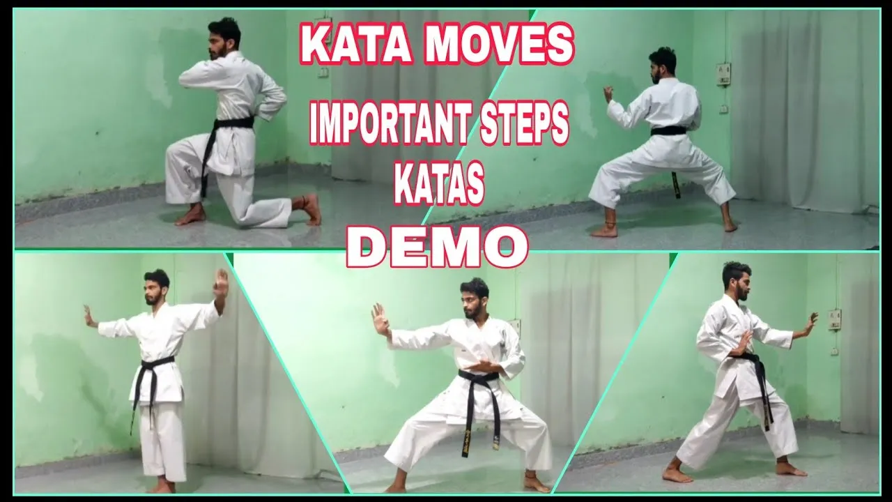 KATA MOVES  IMPORTANT STEPS KATA karate shotokan wkf karatedo  