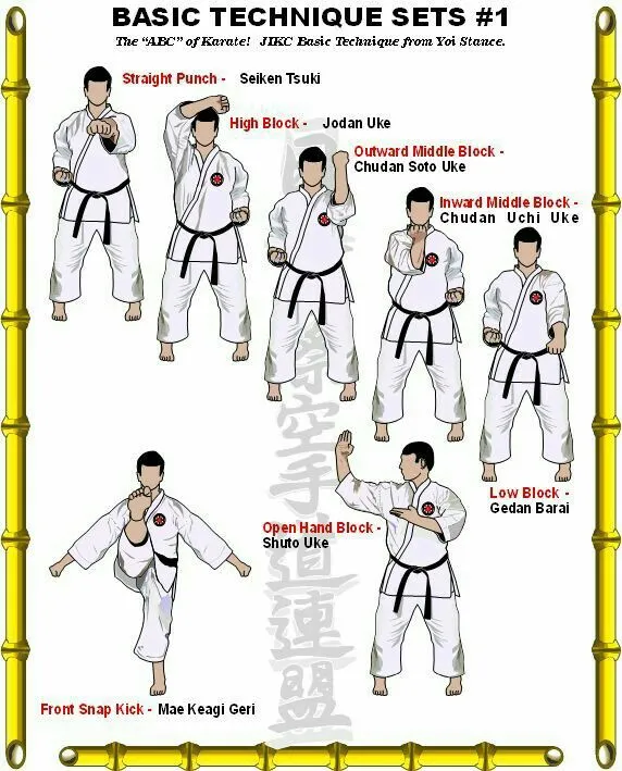 Mastering Karate Moves Step by Step on Dailymotion