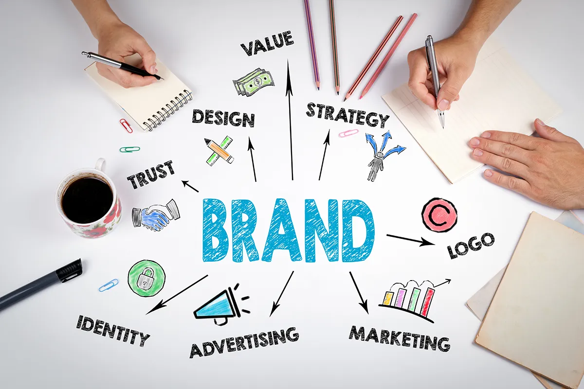 Building a Professional Brand Identity with 123RF