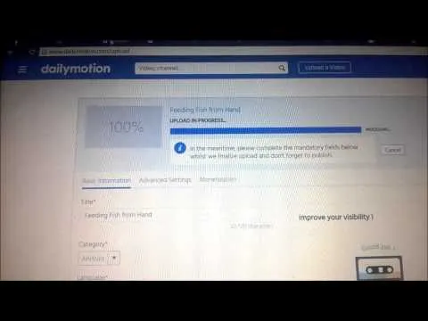 Uploading Pornographic Content on Dailymotion