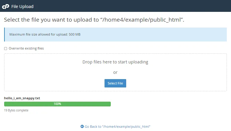 How to Upload a File Using the File Manager
