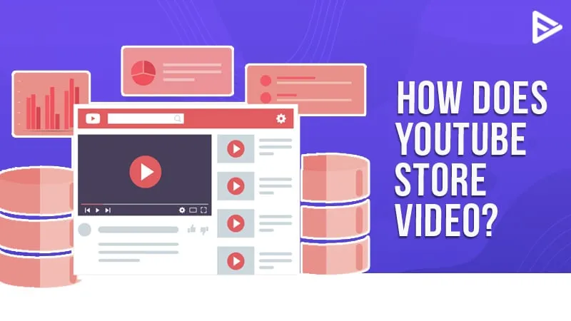 How Does YouTube Store Videos Explore Its Storage Process