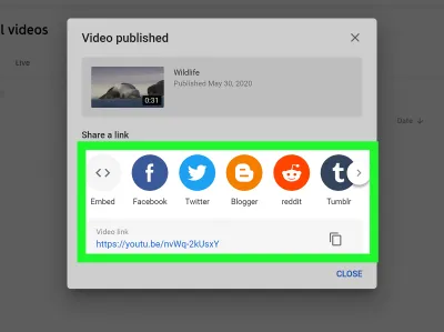Effortlessly Share YouTube Videos via Email