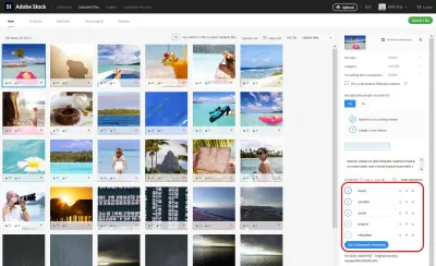 How to Find the Adobe Stock Contributor Named Storm and Other Contributors