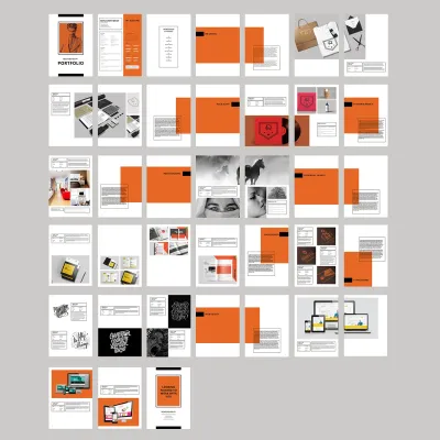 Organizing Projects, Images, and Pages on Behance for a Professional Portfolio