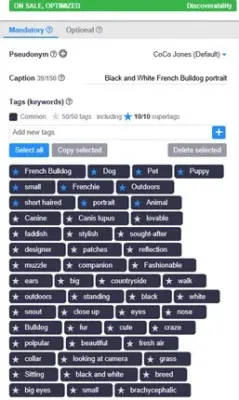 Tagging Images on Alamy for Better Discoverability